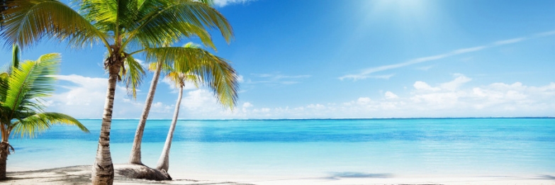 Dedicated Travel & Tourism Search-engine & E-booking