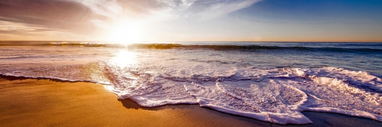 Dedicated Travel & Tourism Search-engine & E-booking