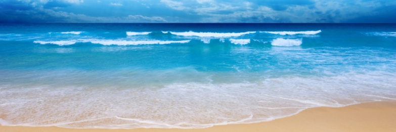 Dedicated Travel & Tourism Search-engine & E-booking