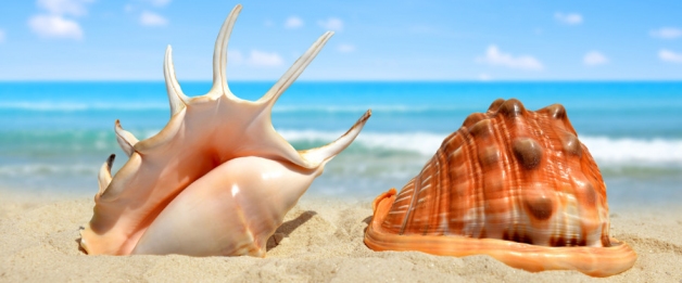 Dedicated Travel & Tourism Search-engine & E-booking