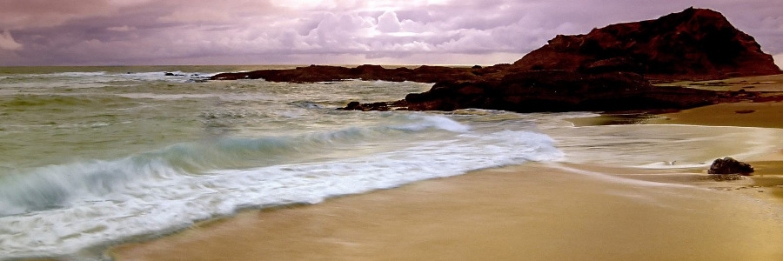 Dedicated Travel & Tourism Search-engine & E-booking