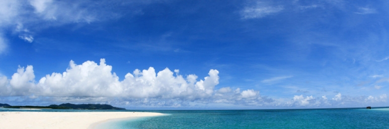 Dedicated Travel & Tourism Search-engine & E-booking